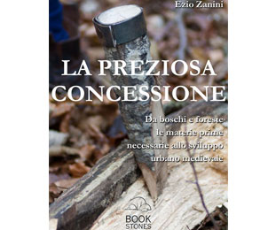 la preziosa concessione ezio zanini